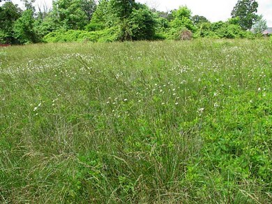 0 W Hwy 72 Hwy unit 696015, Bentonville, AR 72712 - photo 2