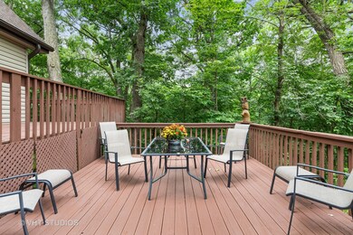 266 Deerpath Ln, Carpentersville, IL 60110 - photo 4