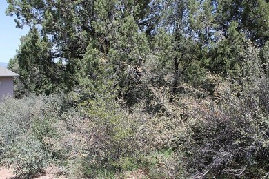 Land (1).JPG