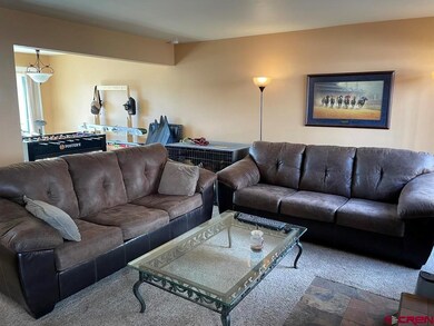 3203 W 5th Ave, Durango, CO 81301 - photo 5