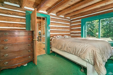 This is a cozy bedroom with the forest j