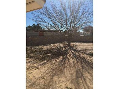 290 Barrel Cactus Dr, Horizon City, TX 79928 - photo 6