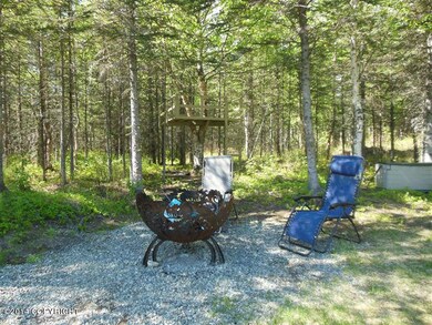 pic of back yard