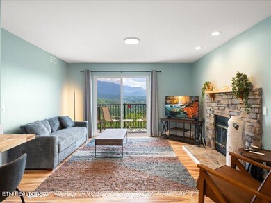 04-3710-Weber-Rd-e204-Gatlinburg-TN-4