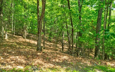 Lt33-34 Lt 33-34 Dogpatch Ln, Blue Ridge, GA 30513 - photo 6