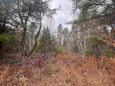 0 Cole School Rd, Beecher, WI 54156 - photo 7