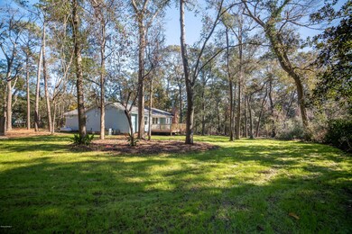 backyard 2