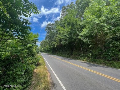 0 Lots 1 2 3 and 21 Ridge Rd unit 1307889, Sevierville, TN 37862 - photo 3