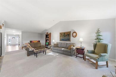 5634 Sun Bear Dr, House Springs, MO 63051 - photo 6