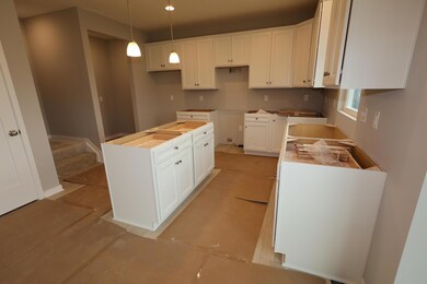 3761 Old Glory Loop, Powell, OH 43065 - photo 6