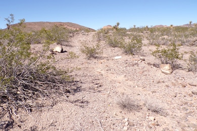 N White Dr, Dolan Springs, AZ 86441 - photo 3