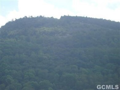 35 Maple Ave, Lanesville, NY 12450 - photo 7