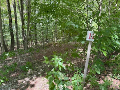 Lot 11 Kumbrabow Rd, Huttonsville, WV 26273 - photo 2