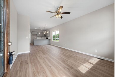 885 Dogwood Trail, Clarksville, TN 37042 - photo 4