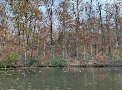 323 Red Oak Cove, Saulsbury, TN 38067 - photo 7