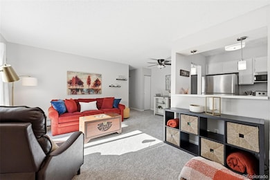 7309 W Hampden Ave unit 4304, Lakewood, CO 80227 - photo 6