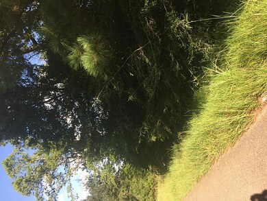 0 West Ln, Magnolia, TX 77354 - photo 6