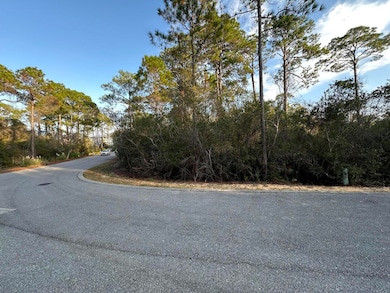 Lot 12 Silver Maple Dr, Rosemary Beach, FL 32413 - photo 2