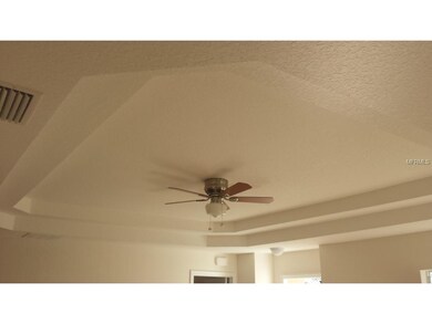 Master Bedroom Tray ceiling