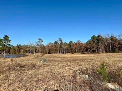 178 Eagle Creek Dr, Diana, TX 75640 - photo 6