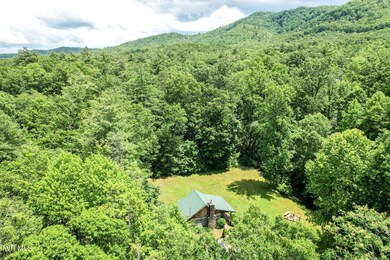 DJI_0946