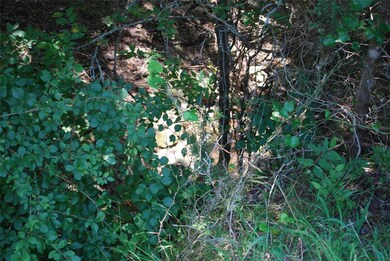 41006 Flagstone Cir, Whitney, TX 76692 - photo 5