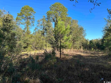 TBD Heller St unit TBD Scott ST., Kingstree, SC 29556 - photo 4