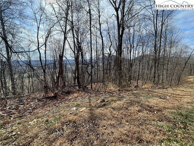 TBD Dr, Crumpler, NC 28617 - photo 3