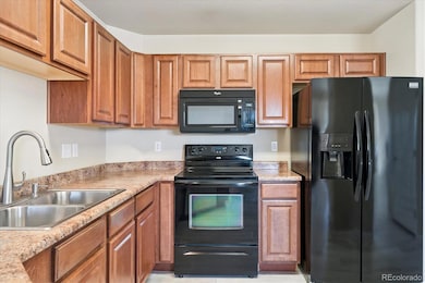 6949 Dusty Miller Way, Colorado Springs, CO 80908 - photo 5