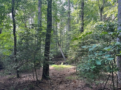 L 10&16 Josie Dr, Blairsville, GA 30512 - photo 5