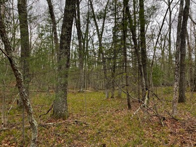 Wooded