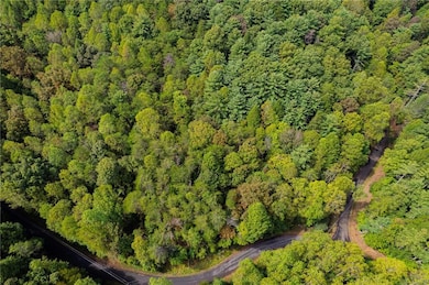 695 Satsuma Ct, Ellijay, GA 30540 - photo 7