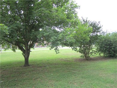 Tree near the back of this lot