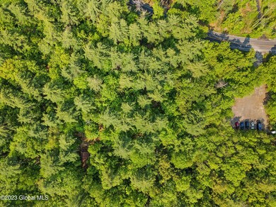 DJI_0151