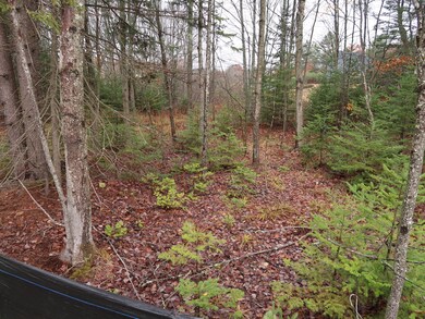 16 Renee Rd, Freeport, ME 04032 - photo 7