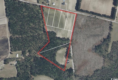 TBD Highway 308 unit Lot 3, Galivants Ferry, SC 29544 - photo 3