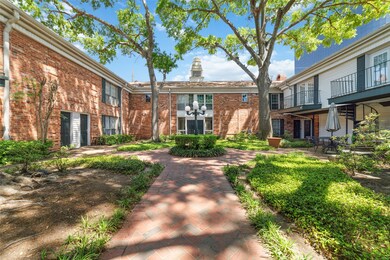 Beautiful Serine Courtyard