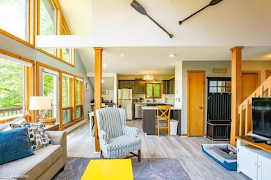 65 Snow Run Rd, Davis, WV 26260 - photo 7