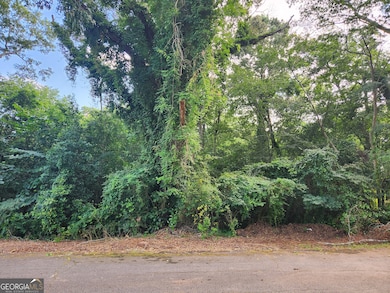 0 Edwards Ln unit 10567842, Flovilla, GA 30216 - photo 2