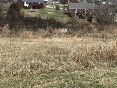 Lot 4 Eagles Bluff Ct, Shepherdsville, KY 40165 - photo 3