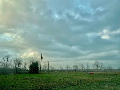 13651 County Road 184, Alvin, TX 77511 - photo 6