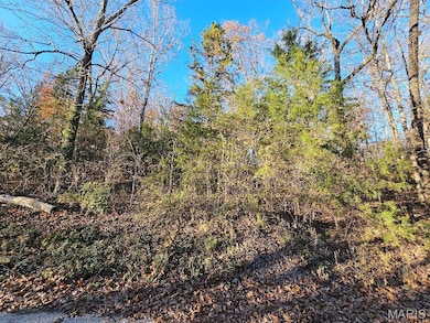 Lot 5 Blk 1 Carter 133, van Buren, MO 63965 - photo 3