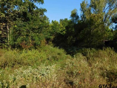 2836 Roy Rd, Tyler, TX 75791 - photo 4