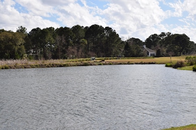 1215 Big Dataw Point, Saint Helena Island, SC 29920 - photo 7