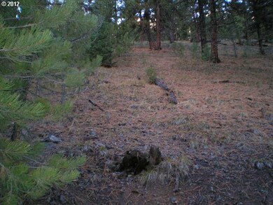 0 Center St unit 12580193, Granite, OR 97877 - photo 4