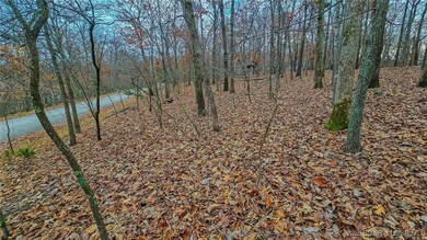 Lot #302 Lake Dr, Jasper Township, MO 65079 - photo 4