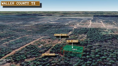 Mcgregor Ct, Hempstead, TX 77445 - photo 2