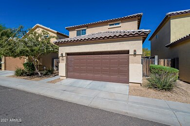 Camelback-3