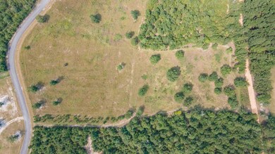 0 Cooks Pond Rd unit 219408, Windsor, SC 29856 - photo 7