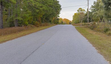 00 Tyler Rd, Orangeburg, SC 29115 - photo 3